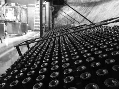 Mexico - Ensenada - Mexican Wine, Dine, and Fun: A Local Journey to Indulge in the Flavors of Mexico - 5