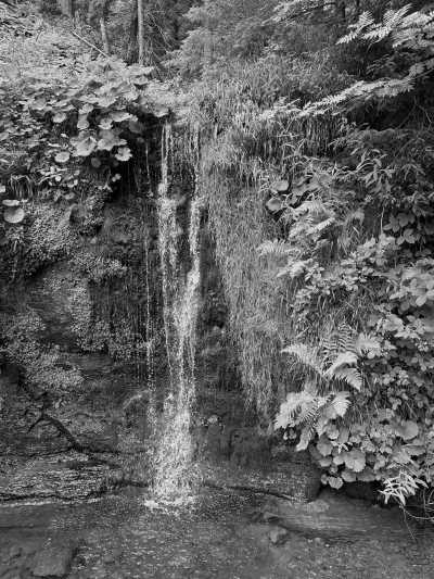 Deutschland - Camp Bösellbach - Travel Through the Black Forest, Germany - 1