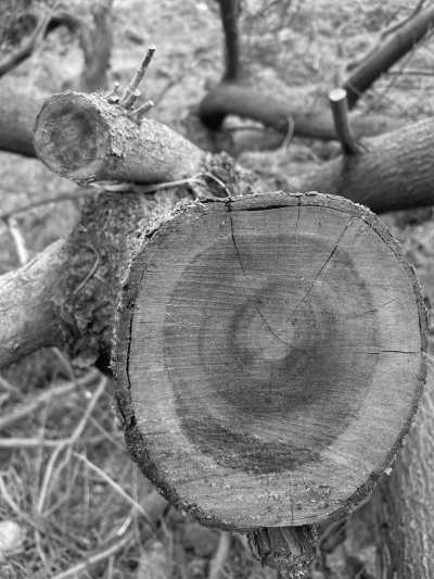 Welt - Pico da Cruz - Inselüberquerung Santo Antao (Kapverden) - 5