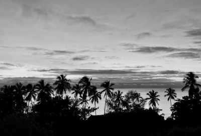 Tanzania - Kiwengwa - Get to know the best of Zanzibar 🏝️ - 21