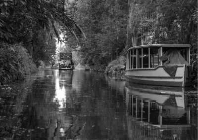 Mexiko - Xochimilco - Creativo: Explore Mexico City along Artists & Creatives! - 2