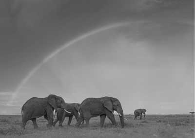 Tanzania - Moshi - Unleash the Adventure of a Lifetime: Hiking Kilimanjaro in Tanzania - 1