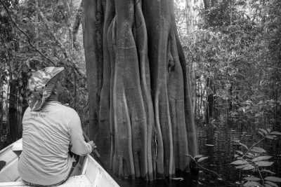 Brazil - Rio Juma - Amazon Expedition: 7-days immersion with a riverside family in the Amazon. - 2