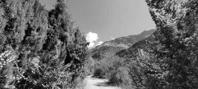 Spain - Alpujarra Granadina - Active Spanish Adventure at Granada and Costa Tropical + Málaga - 4