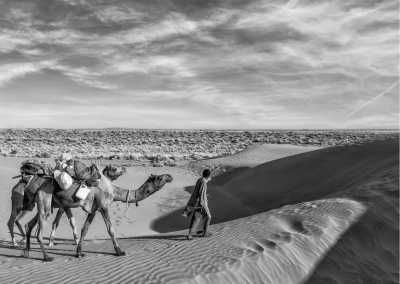 Egypt - Giza Necropolis - Digital Nomads: A Week of Coworking & Culture in Cairo, Egypt - 1