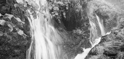 Spain - Nacientes de Marcos y Cordero - Wanderreise mit tollen Tageswanderungen auf der Kanareninsel la Palma - 2