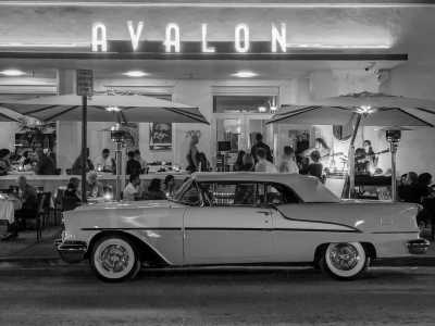 United States - South Beach - HomeOffice in South Florida USA with a local Miami and Fort Lauderdale Trip: Gorgeous Beaches, Delicious food, Vibrant Nightlife, and More! - 2