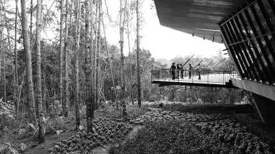 Colombia - Parque Arví - Coworking and Coliving: Work, Explore and Connect with Creatives in Medellin, Colombia. - 1