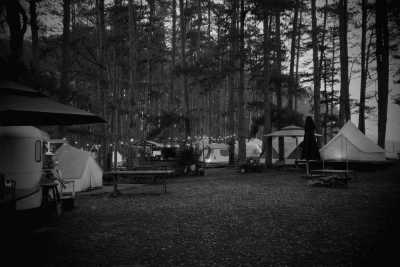 Vietnam - Cafe Mợ Jen - Escape to Dalat and Forest Camping - Short Trip to Vietnam - 2