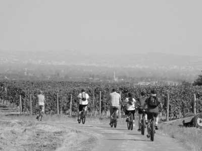 Italy - Langhe - Remote Working + Networking + Wellness Retreat: Italian Food and Wine with a Local. Jacuzzi, Pool, Spa, Stunning View Secret Spot! - 4