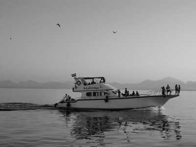 Oman - Ad Dimaniyat Islands - Desert and beach relaxing 7-day holiday in Oman - 2