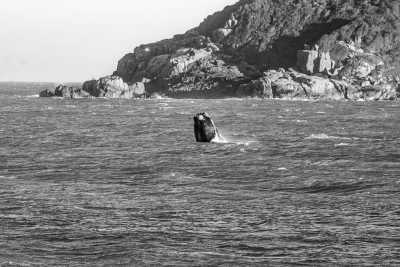 Brazil - Imbituba - Unforgettable Trip to Brazil: Trekking, Surfing, Yoga, Whale Watching, and More - 3