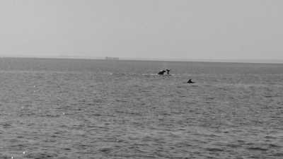 Griechenland - Piperi - Segeltörn durch die nördliche Ägäis, Griechenland - Baden, gutes Essen und mehr! - 2