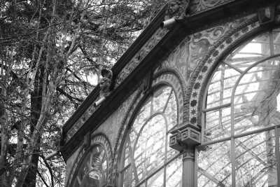 Spain - El Retiro Park - Discover Madri: Join Us for an Exciting Experience and a Tennis Competition! - 1