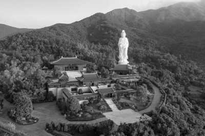 Eastern Asia - Tai Po - Travel with Local in Hong Kong to Explore Nature and the City - 1