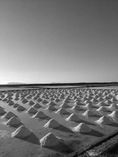 Italy - Marsala - Explore the West Coast of Sicily | Gastronomy & Rural Regeneration with a Local - 2