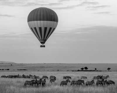 Kenya - Nairobi - Masai Mara Group Safari, Kenya - The Best in only 3 days!