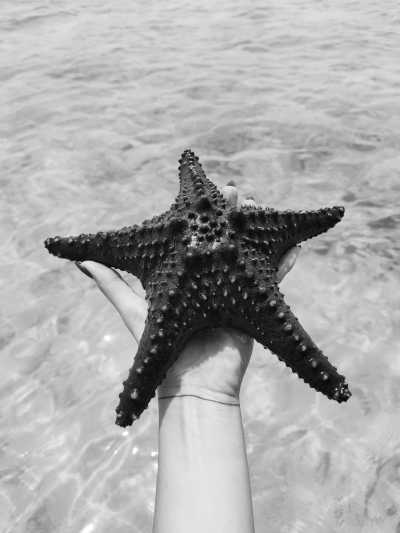 Central America - Panama - COSTA RICA! Female Only Coworkers trip - turn Puerto Viejo into your office!💻🌺 - 1