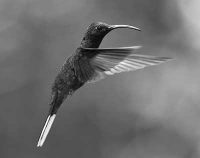 Panama - Taboga Island - Endless Summer Co-Working in Panama City, Central America: 2-Week Retreat ☀️🌴 - 1