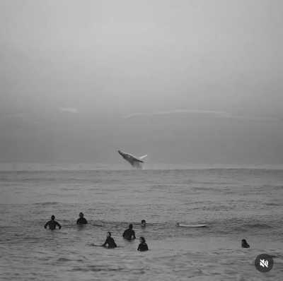 Mexiko - Puerto Escondido - Mexico's Pacific & Atlantic Coast all in one trip - Puerto Escondido & Playa del Carmen (*FOR ANIKA ONLY*) 🇲🇽🏖🌊🌮 - 12