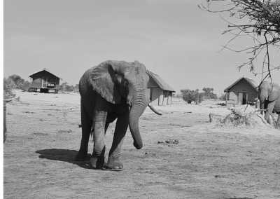 South Africa - Aquila Private Game Reserve - Women's Wellness Journey - Sacred Sisterhood - 8