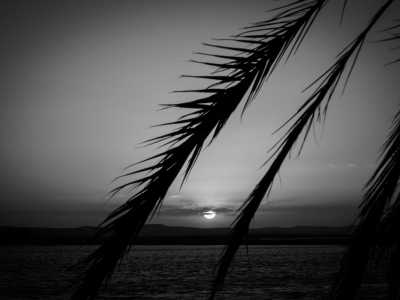 Egypt - Siwa Oasis - Siwa Retreat: Discover Egypt's Desert Haven and Cairo on a Memorable Journey - 2