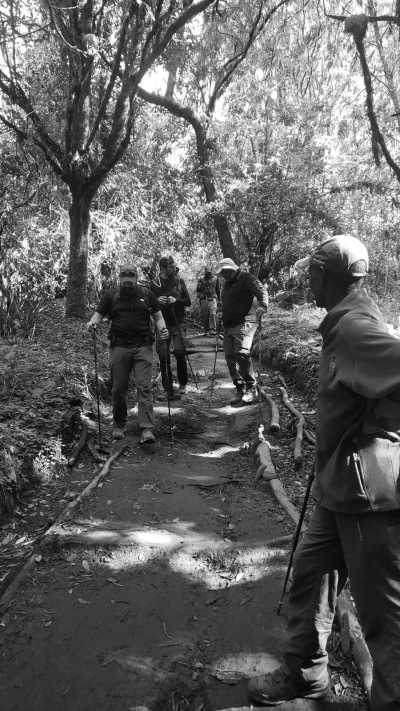 Tanzania - Tarangire National Park - 6 Days - 5 Nights Tanzania Lodge safari,Tarangire, Serengeti and Ngorongoro Crater