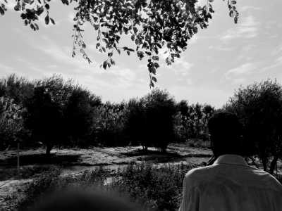 Egypt - Siwa Oasis - Siwa Oasis Tour from Cairo, Egypt. - 6