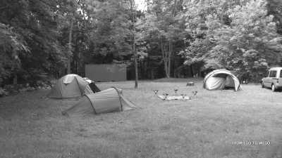 France - Camping Lefébure - A Magical Experience | Alsace, France | Walkshop Light | 4 Days | 4 Lakes Tour - trip to Lac Blanc, Lac Noir & more - 9