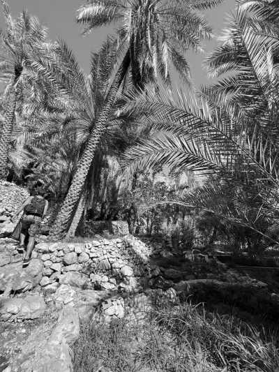 Oman - Sur - Discover Oman: The Land of Wadis and Wonders - 2