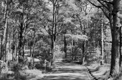 Philippines - Giraffe Boutique Hotel - Discover Caves, Mountains, Seas, and Waterfalls: Unforgettable Experience with a Local in the Philippines