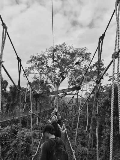 Ghana - Kakum National Park - Explore Cape Coast( Castle Tours and Canopy Walkway)