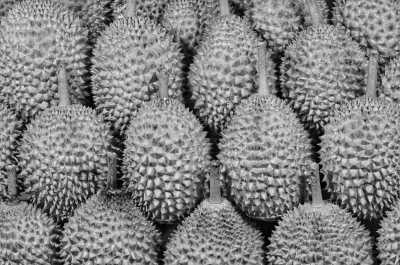 Malaysia - Pahang - 🇲🇾 Best 4-Day Trip in Malaysia: Jungle Trekking, Batik-Making Experience, City Tour, Local Foods by Local! - 3