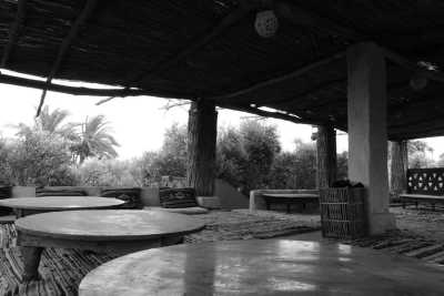 Egypt - Mangrove Camp Fayoum - Fayoum, Egypt: Immerse Yourself in Nature for a Memorable Getaway - 2