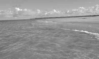 Brasilien - Arraial d'Ajuda - Explore Brazil in a Relaxing Coworking Environment: Uncover Porto Seguro, the Most Historical City of the Country! - 7