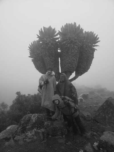 Tansania - Barafu Camp - Climb Mount kilimanjaro 7 Days via Machame route