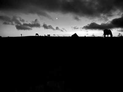 Romania - Veneția de Sus - Romania On Horseback - Horses and Unforgettable Memories - 1