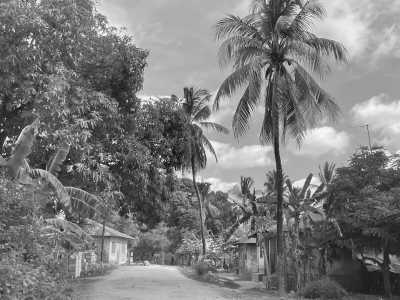 Tanzania - Makunduchi - Zanzibar Coworking Experience: Your Journey Starts Here - 4