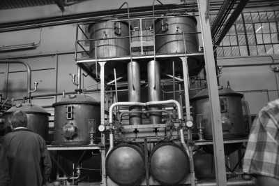 South Africa - Stellenbosch - Südafrika: Das Biospärenreservat Krüger / Blyde River und die Kapregion - die wilden Tiere warten - 2