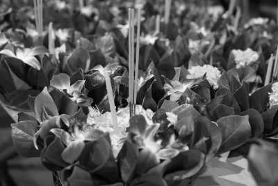 Thailand - Chiang Mai - 21 Days: Experience the Magic of Loy Krathong in Chiang Mai While CoWorking - 4