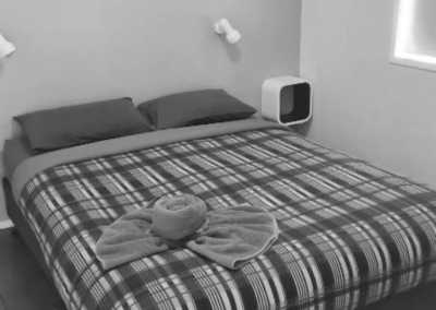 Australia - Coffs Harbour - Road Trip East Coast Australia: Explore City Life, Beaches Wild Animals 🌊✨ - 5