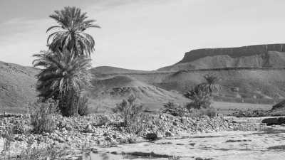 Morocco - Zagora - Experience Morocco's Best Adventure: Surfing, Camel Riding, and Camping under the Stars