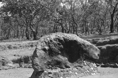 Eastern Africa - Mbudya Island - Exploration of the East Africa community 🌍 (🇰🇪 🇺🇬 🇷🇼 🇧🇮 🇹🇿) : Experience a Real Eastern Africa's Hidden Gems Adventure - 1