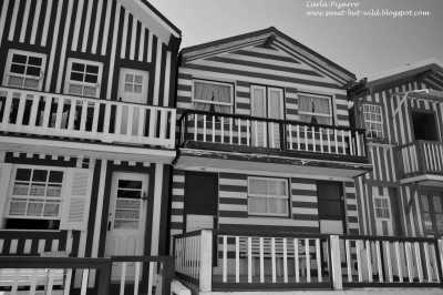 Portugal - Aveiro Lagoon - Jewels Of Portugal | Explore Portugal for 7 nights - 3