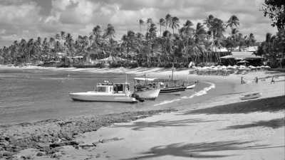 Brazil - Praia do Forte - Coastal Wonders: Salvador to Aracaju Escape in Brazil - 1