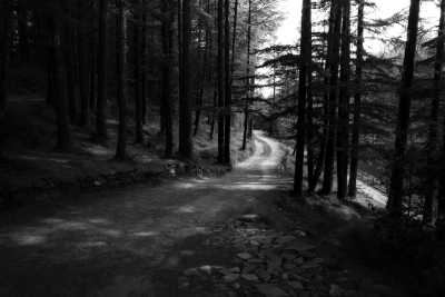 Indien - Shillaru - Discover the beauty of Shimla in the Himalayas: Embrace local life, conquer offbeat treks, and relive the glory of British India's Summer Capital! - 3