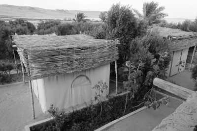 Egypt - Mangrove Camp Fayoum - Fayoum, Egypt: Immerse Yourself in Nature for a Memorable Getaway - 3