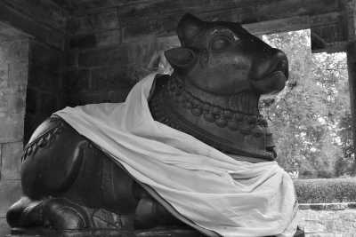 India - Thanjavur - Ancient South India: Experience the Exotic Ancient Temples and Enticing Hills of Tamilnadu - 23