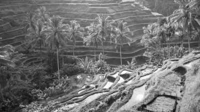 South-eastern Asia - Bali - Malaysia, Singapore, and Indonesia: A  2-Week Adventure - 2