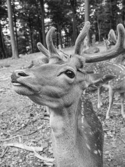 Denmark - Aarhus - Discover the Danish Soul 🌾 - Explore Jylland Like a Local - 5